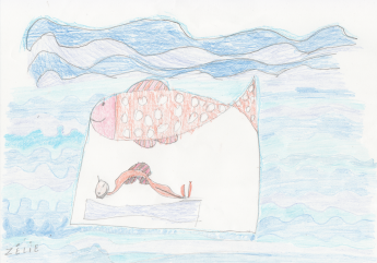 poisson-dessin-z