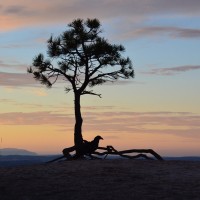 seance-a-laube-dans-le-bryce-canyon-usa